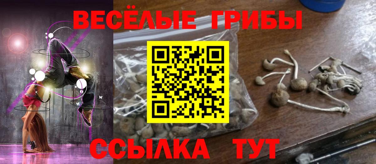 Псилоцибиновые грибы мухоморы  Вход с VPN  Галлюциногенные грибы MAGIC MUSHROOMS  купить наркоту  Камышин 